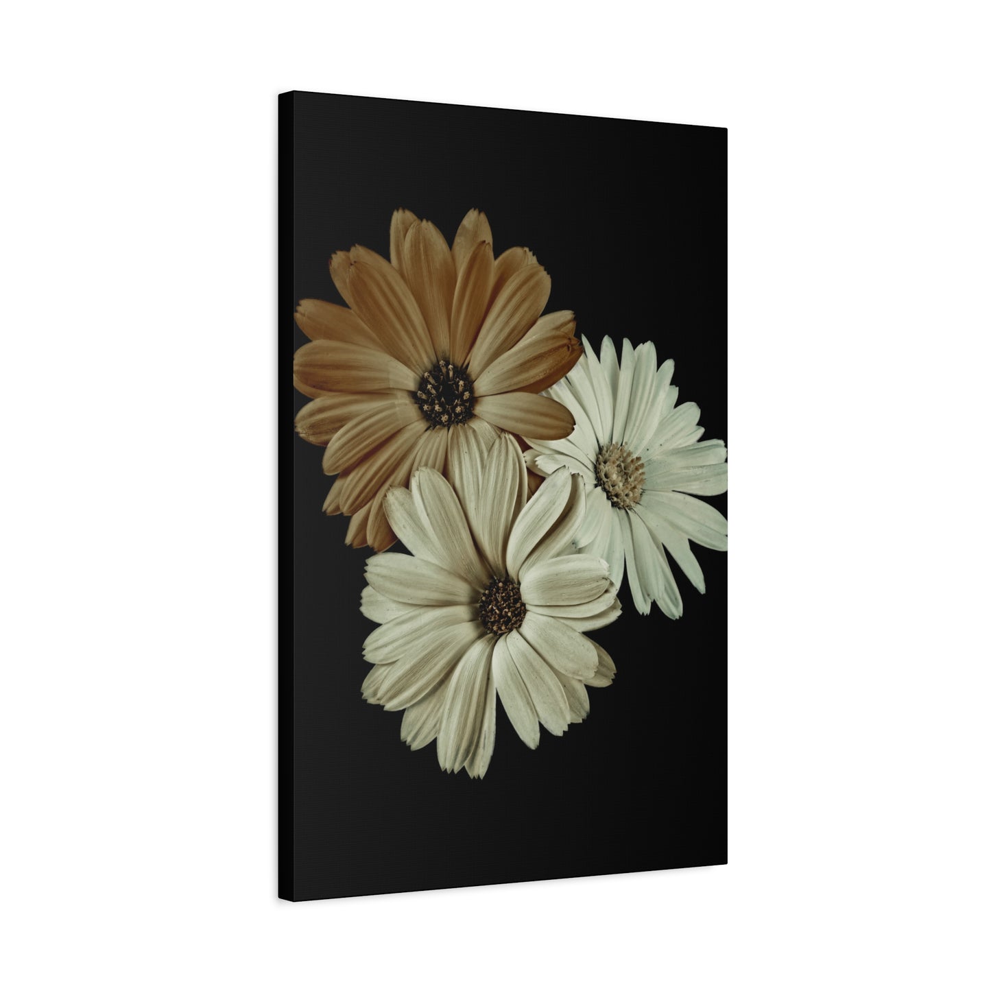 Collection Signature "FLORAL Numéro 3" sur Toile Fine Art sur Toile / Epaisseur 3,2cm - 1'25 po