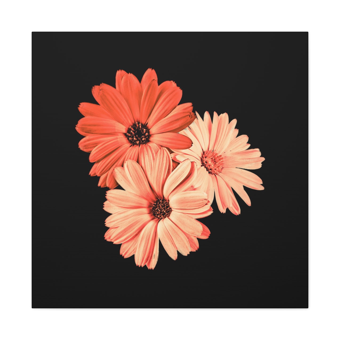 Collection Signature "FLORAL Numéro 6" sur Toile Fine Art sur Toile / Epaisseur 3,2cm - 1'25 po