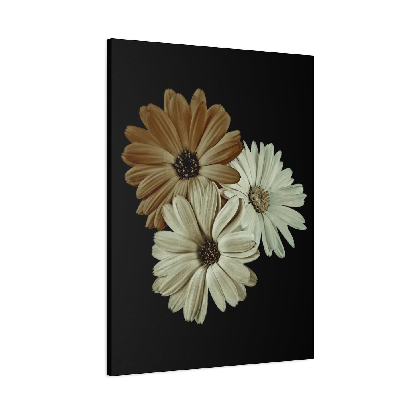 Collection Signature "FLORAL Numéro 3" sur Toile Fine Art sur Toile / Epaisseur 3,2cm - 1'25 po