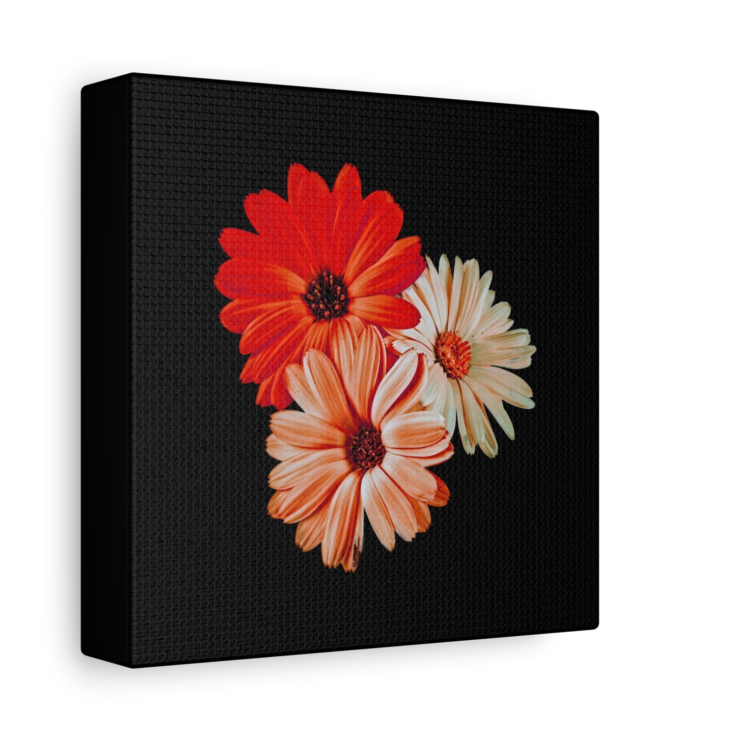 Collection Signature "FLORAL Numéro 7" sur Toile Fine Art sur Toile / Epaisseur 3,2cm - 1'25 po