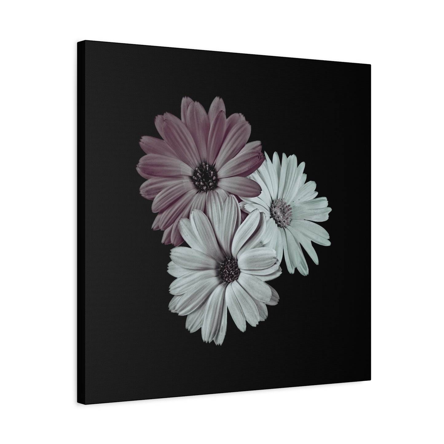Collection Signature "FLORAL Numéro 5" sur Toile Fine Art sur Toile / Epaisseur 3,2cm - 1'25 po