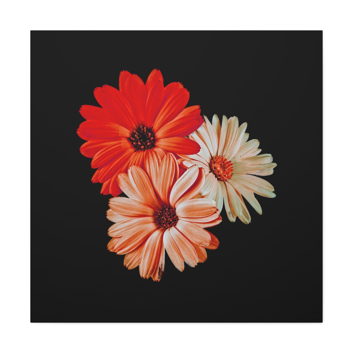 Collection Signature "FLORAL Numéro 7" sur Toile Fine Art sur Toile / Epaisseur 3,2cm - 1'25 po