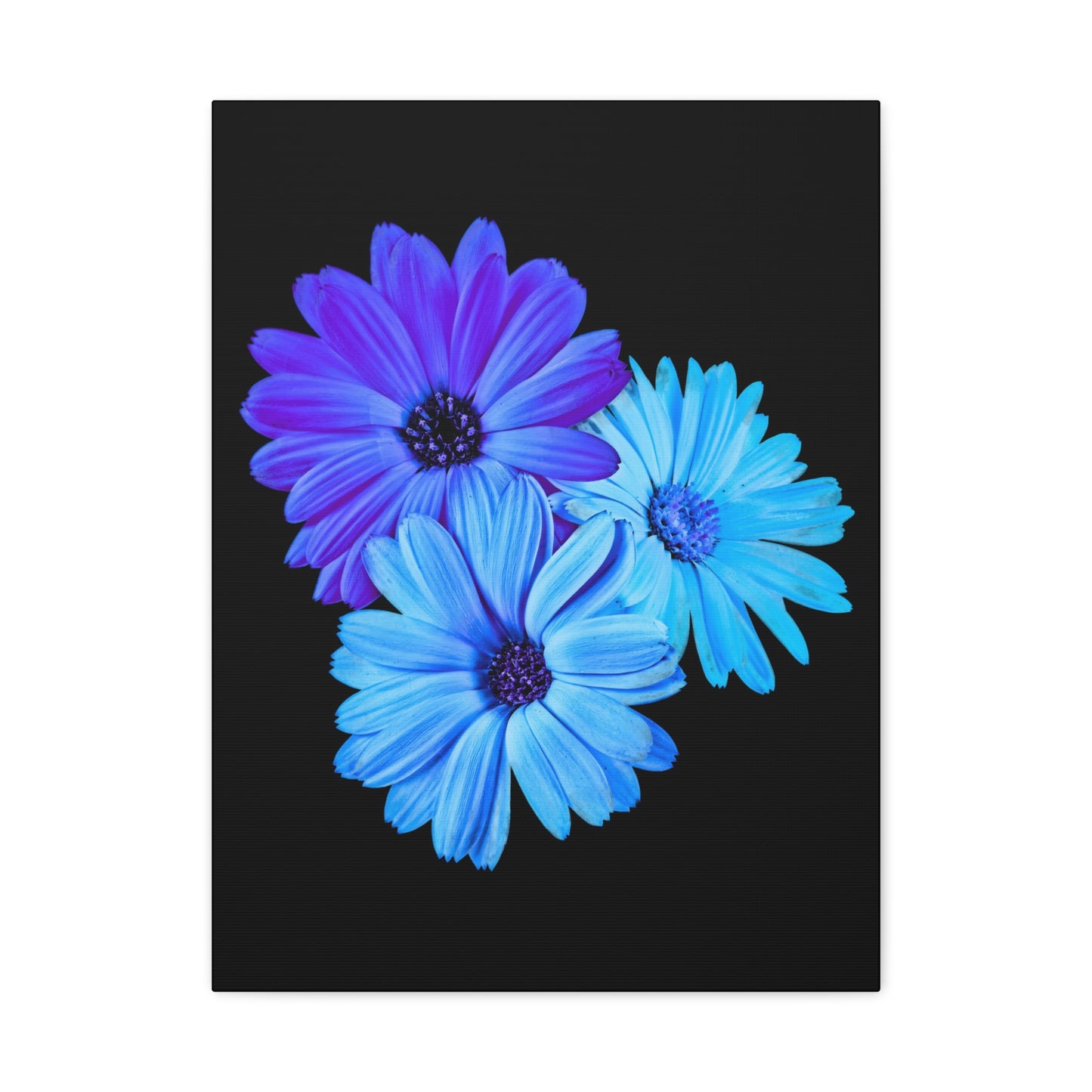 Collection Signature "FLORAL Numéro 2" sur Toile Fine Art sur Toile / Epaisseur 3,2cm - 1'25 po