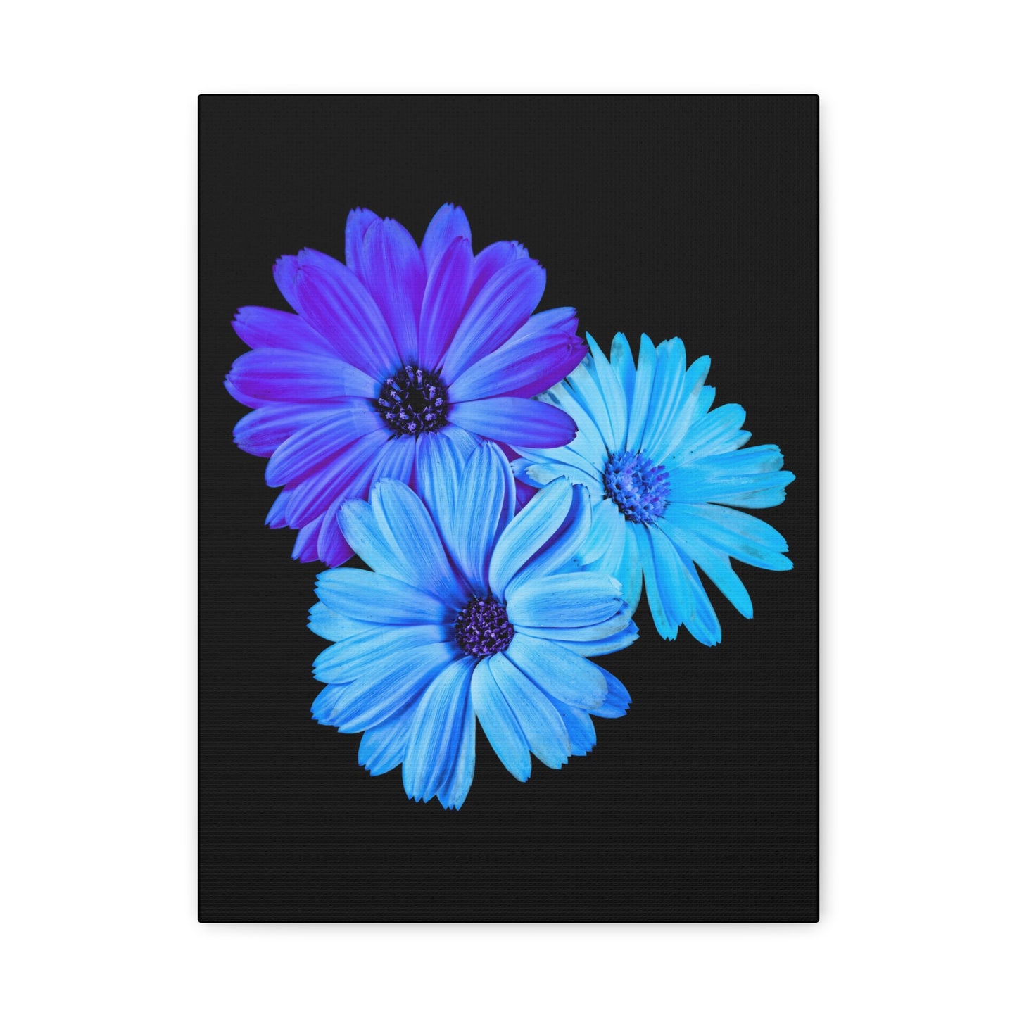 Collection Signature "FLORAL Numéro 2" sur Toile Fine Art sur Toile / Epaisseur 3,2cm - 1'25 po