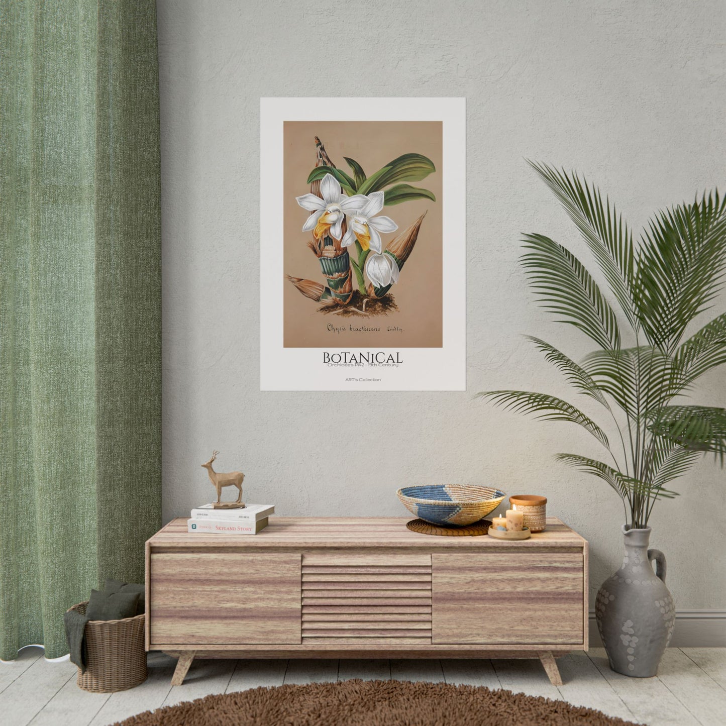 Botanical - Orchidées Pl.42 (19th Century) / Affiche imprimée - Série ART's Collection
