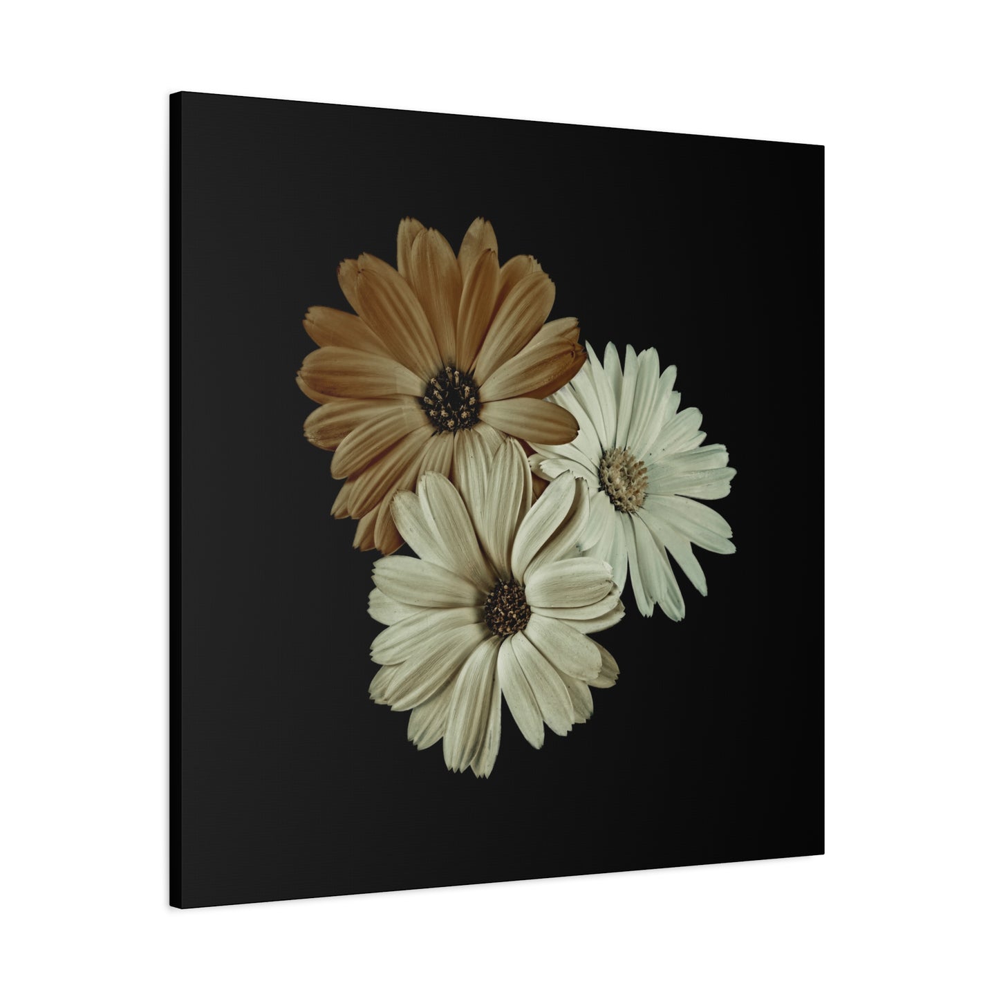 Collection Signature "FLORAL Numéro 3" sur Toile Fine Art sur Toile / Epaisseur 3,2cm - 1'25 po