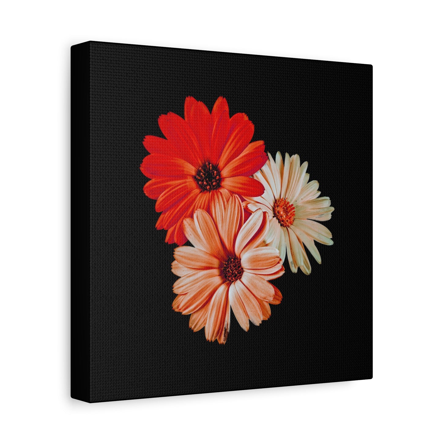 Collection Signature "FLORAL Numéro 7" sur Toile Fine Art sur Toile / Epaisseur 3,2cm - 1'25 po