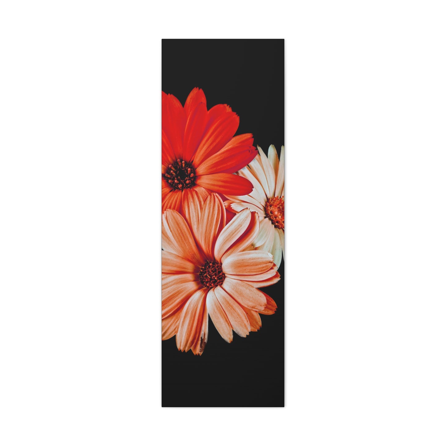 Collection Signature "FLORAL Numéro 7" sur Toile Fine Art sur Toile / Epaisseur 3,2cm - 1'25 po