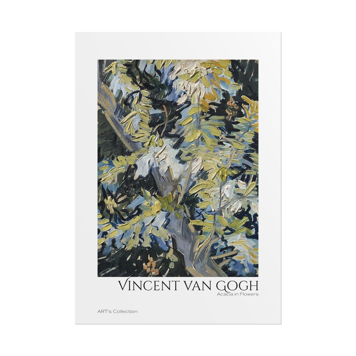 Acacia in Flowers by Vincent van Gogh / Affiche imprimée - Série ART's Collection