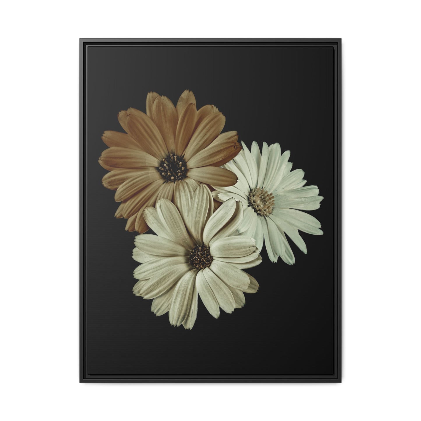 Collection Signature "FLORAL Numéro 3" sur Toile encadrée avec caisse américaine