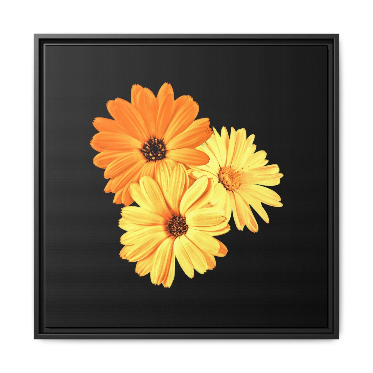 Collection Signature "FLORAL Numéro 8" sur Toile encadrée avec caisse américaine