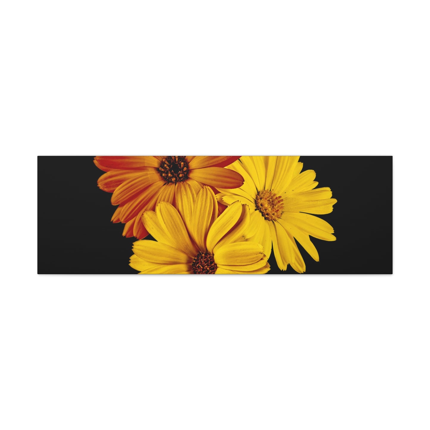 Collection Signature "FLORAL Numéro 4" sur Toile Fine Art sur Toile / Epaisseur 3,2cm - 1'25 po