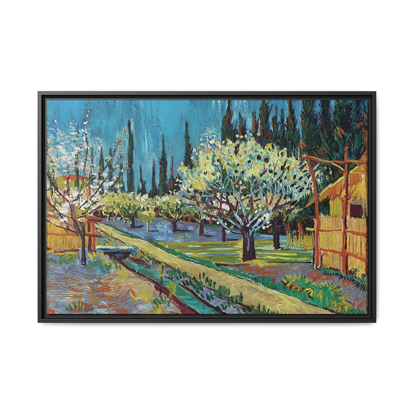 Orchard Bordered by Cypresses (1888) by Vincent van Gogh / Toile encadrée sur caisse américaine