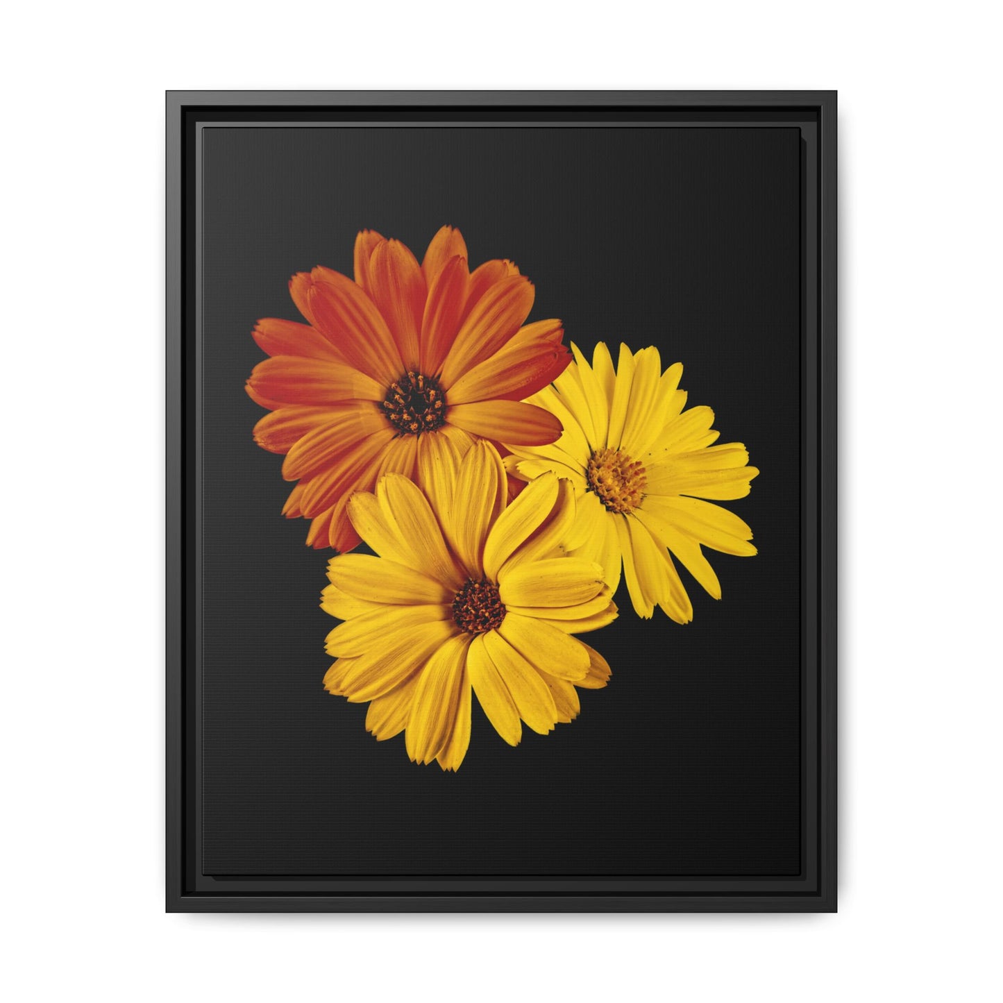 Collection Signature "FLORAL Numéro 4" sur Toile encadrée avec caisse américaine