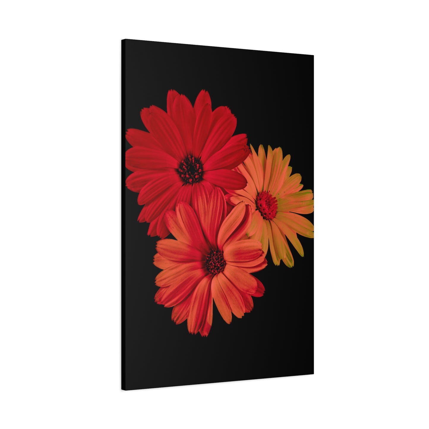 Collection Signature "FLORAL Numéro 1" sur Toile Fine Art sur Toile / Epaisseur 3,2cm - 1'25 po