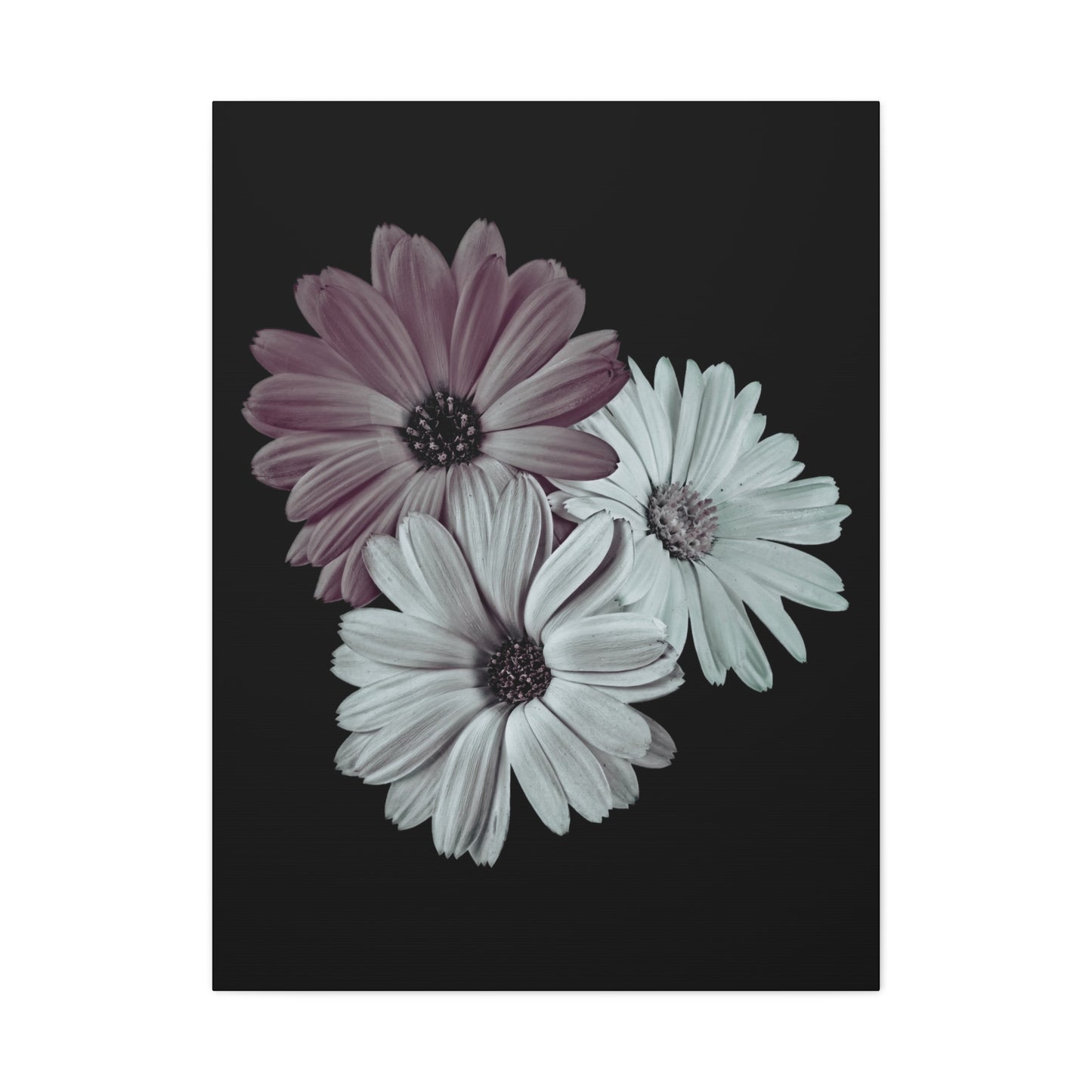 Collection Signature "FLORAL Numéro 5" sur Toile Fine Art sur Toile / Epaisseur 3,2cm - 1'25 po