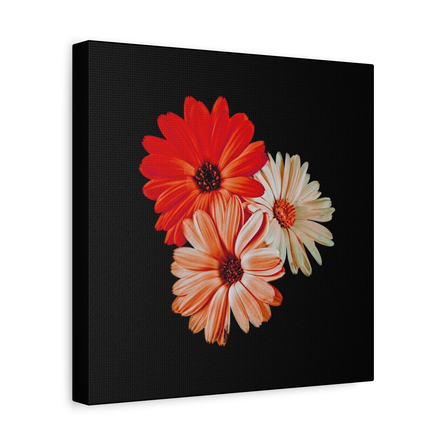 Collection Signature "FLORAL Numéro 7" sur Toile Fine Art sur Toile / Epaisseur 3,2cm - 1'25 po