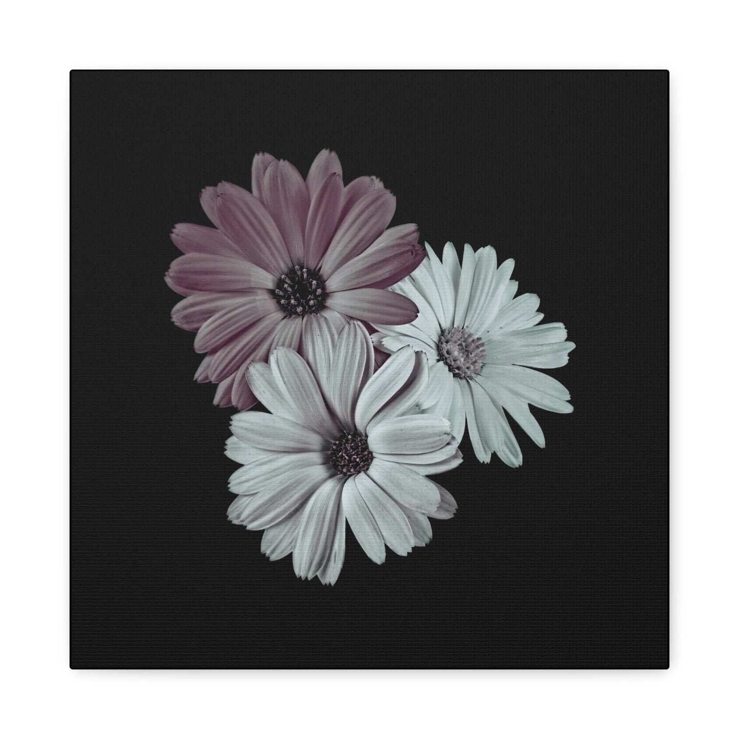Collection Signature "FLORAL Numéro 5" sur Toile Fine Art sur Toile / Epaisseur 3,2cm - 1'25 po