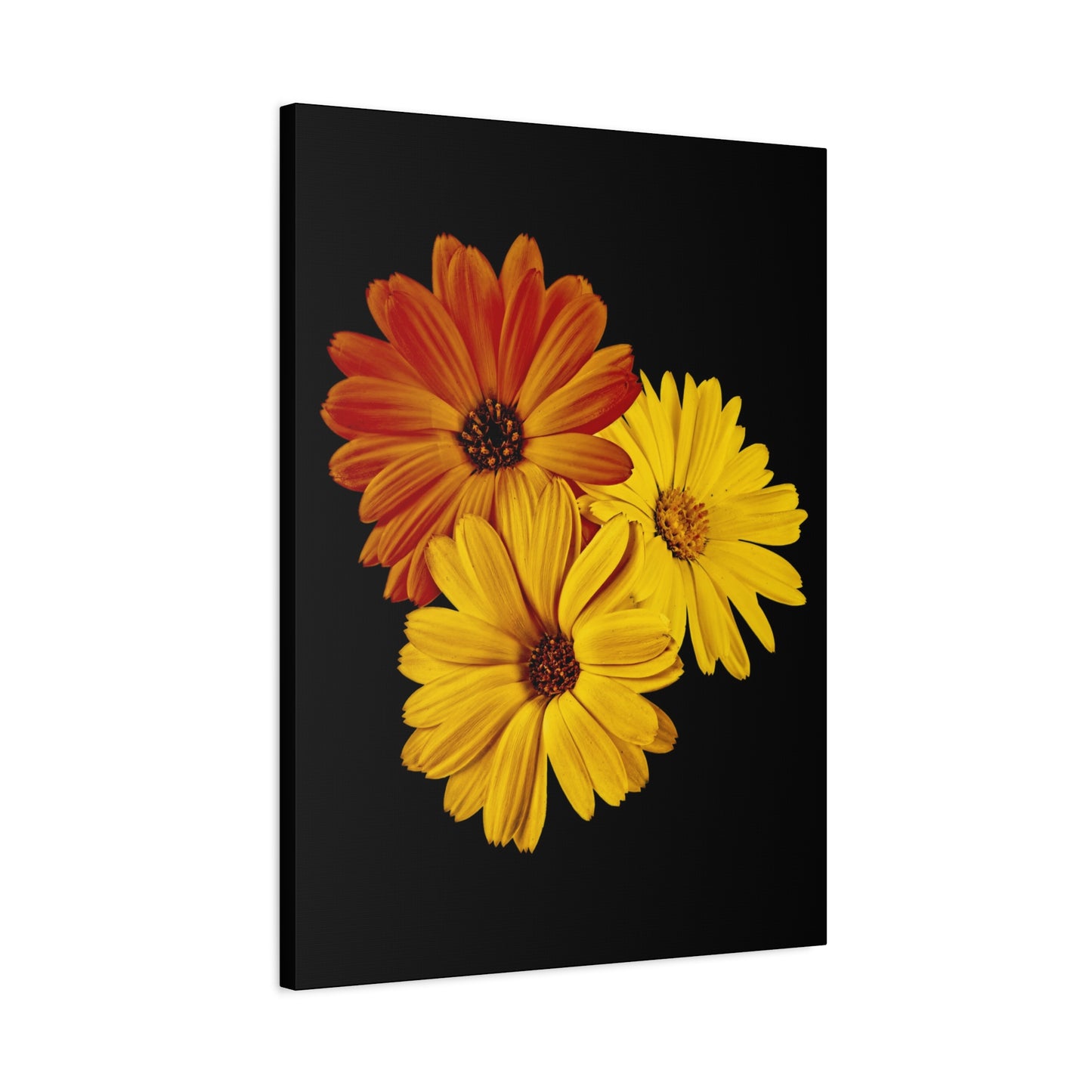 Collection Signature "FLORAL Numéro 4" sur Toile Fine Art sur Toile / Epaisseur 3,2cm - 1'25 po