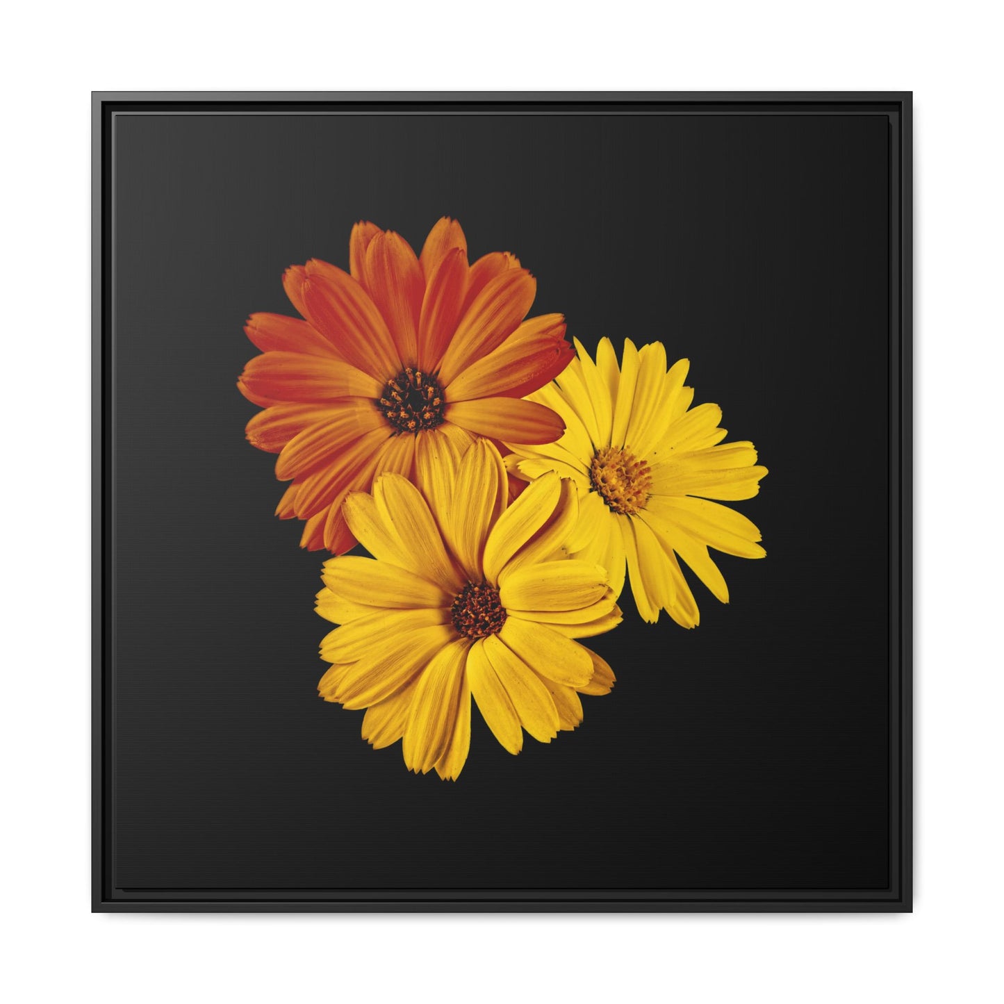 Collection Signature "FLORAL Numéro 4" sur Toile encadrée avec caisse américaine