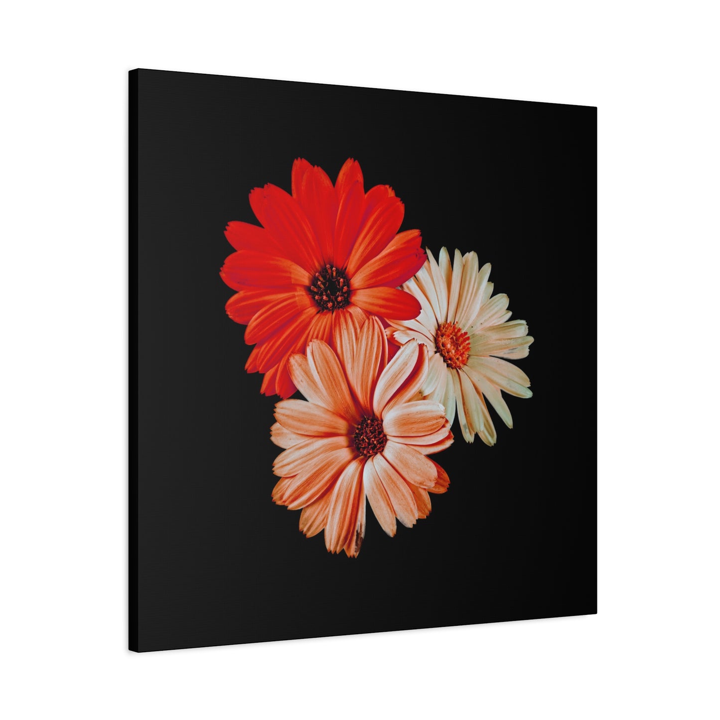 Collection Signature "FLORAL Numéro 7" sur Toile Fine Art sur Toile / Epaisseur 3,2cm - 1'25 po