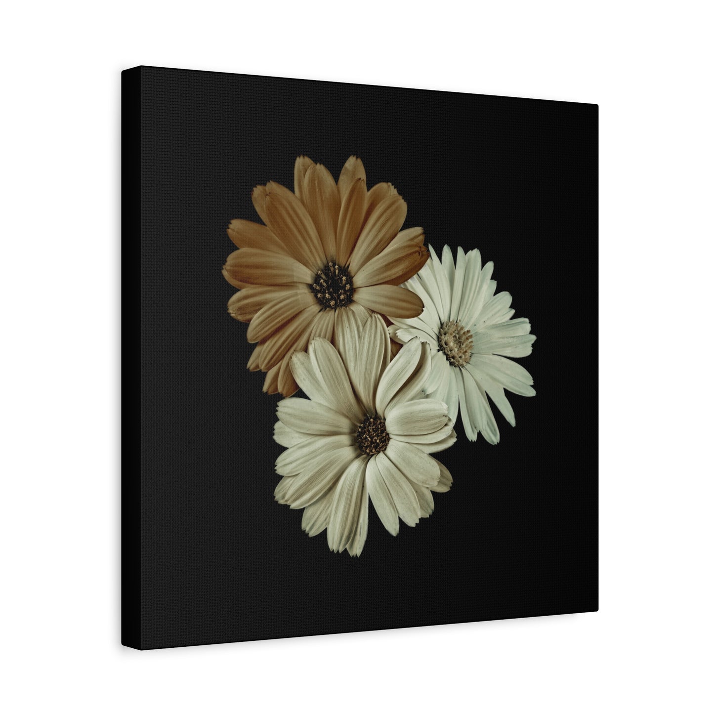 Collection Signature "FLORAL Numéro 3" sur Toile Fine Art sur Toile / Epaisseur 3,2cm - 1'25 po
