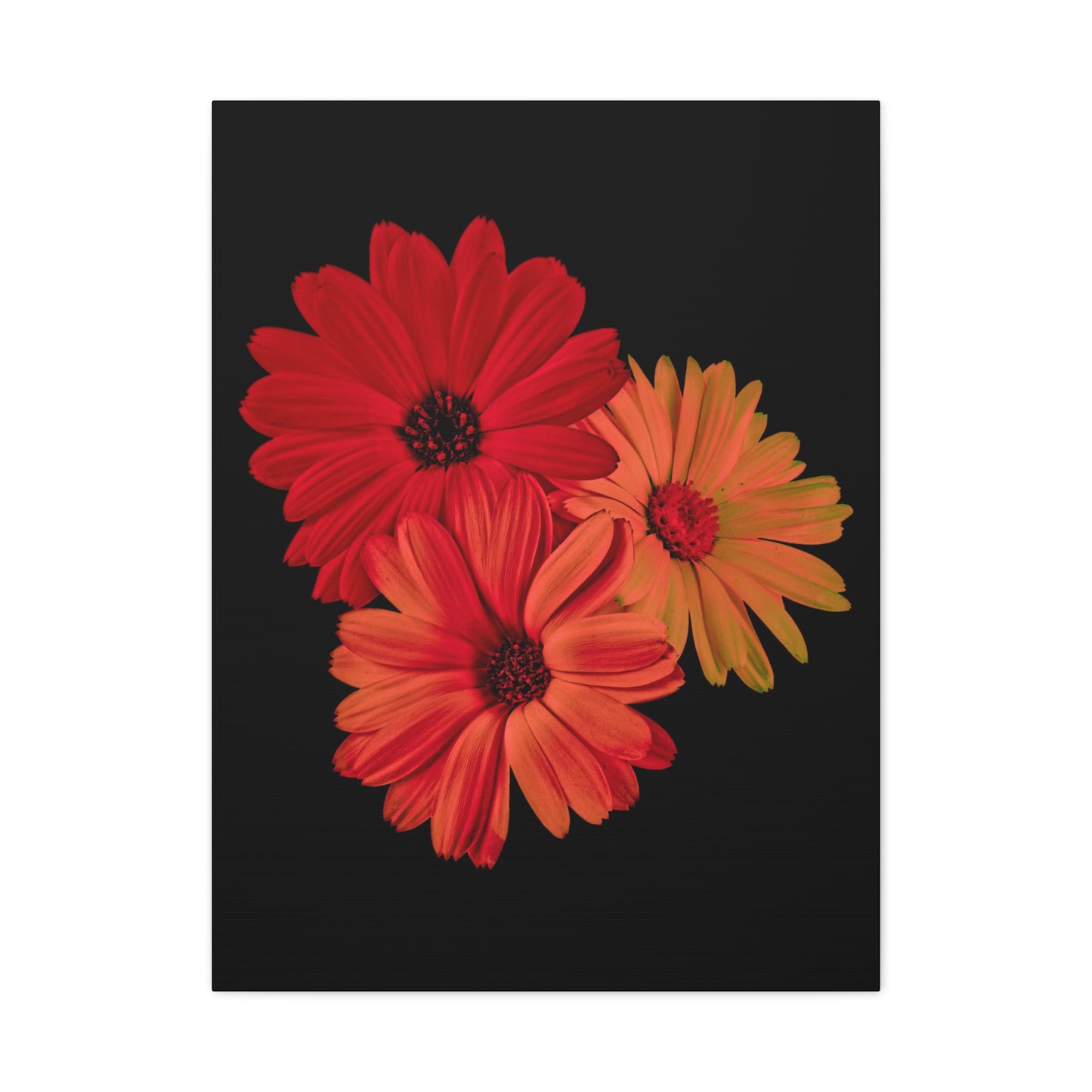 Collection Signature "FLORAL Numéro 1" sur Toile Fine Art sur Toile / Epaisseur 3,2cm - 1'25 po