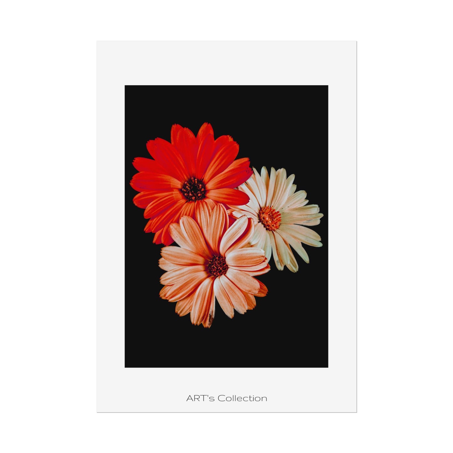 Collection Signature "FLORAL Numéro 7" sur Affiche imprimée - Série ART's Collection
