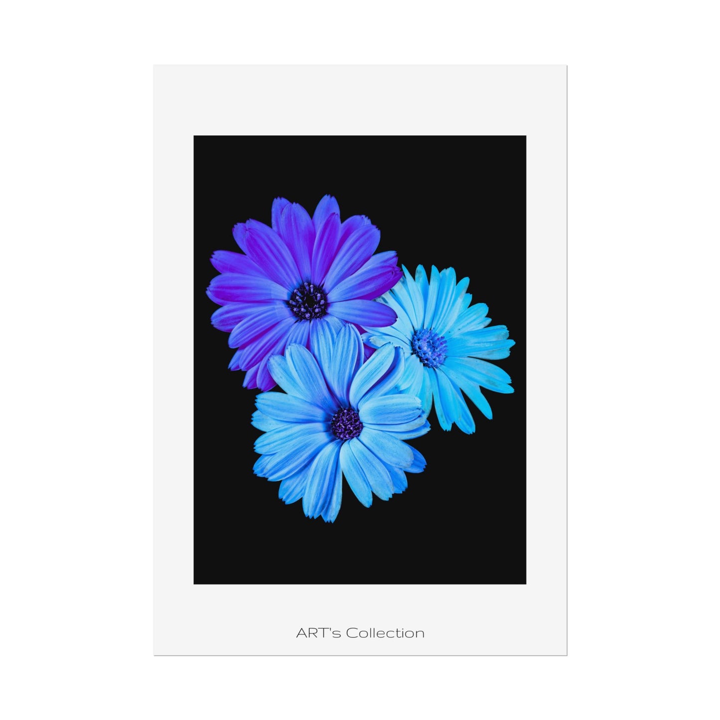 Collection Signature "FLORAL Numéro 2" sur Affiche imprimée - Série ART's Collection