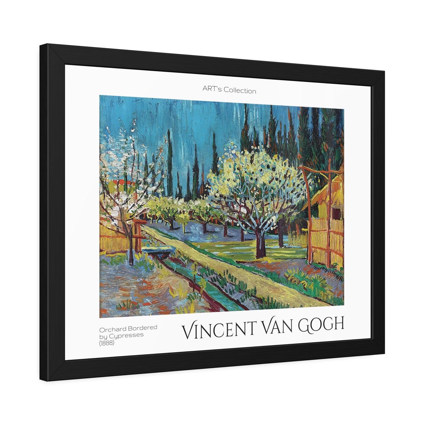 Orchard Bordered by Cypresses (1888) by Vincent Van Gogh / Affiche Encadrée série ART's Collection