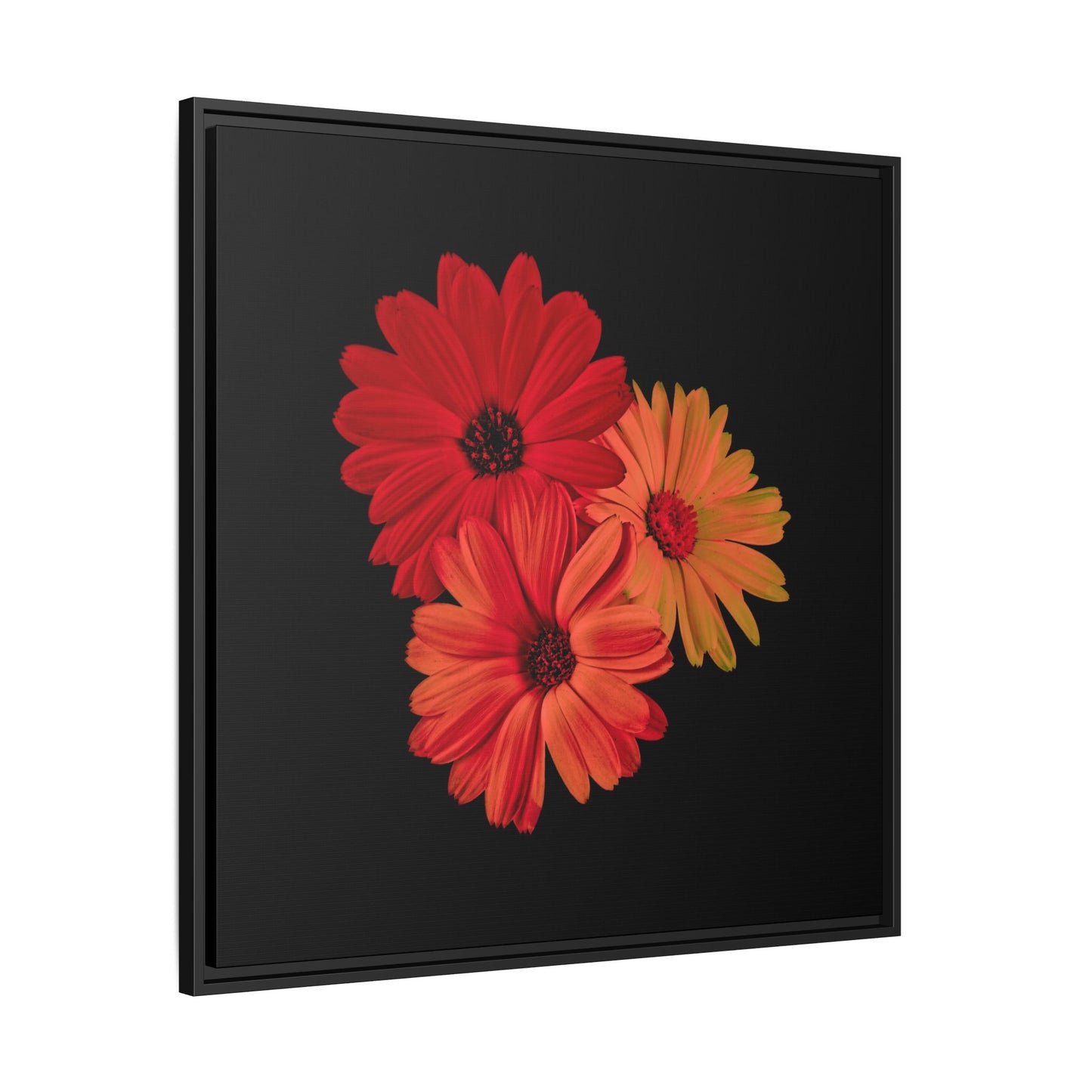 Collection Signature "FLORAL Numéro 1" sur Toile encadrée avec caisse américaine