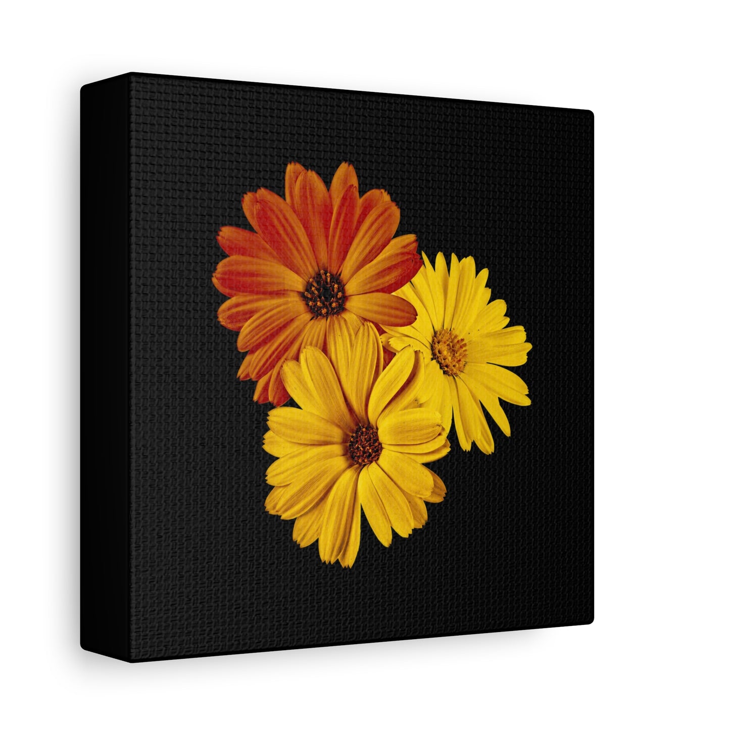 Collection Signature "FLORAL Numéro 4" sur Toile Fine Art sur Toile / Epaisseur 3,2cm - 1'25 po