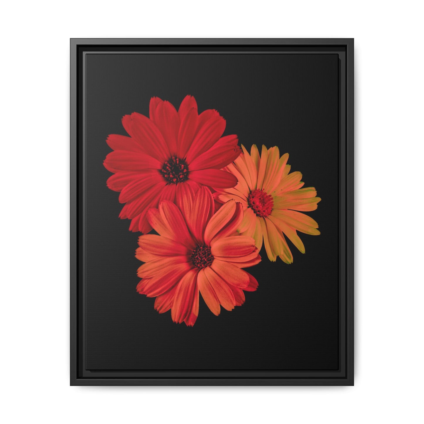 Collection Signature "FLORAL Numéro 1" sur Toile encadrée avec caisse américaine