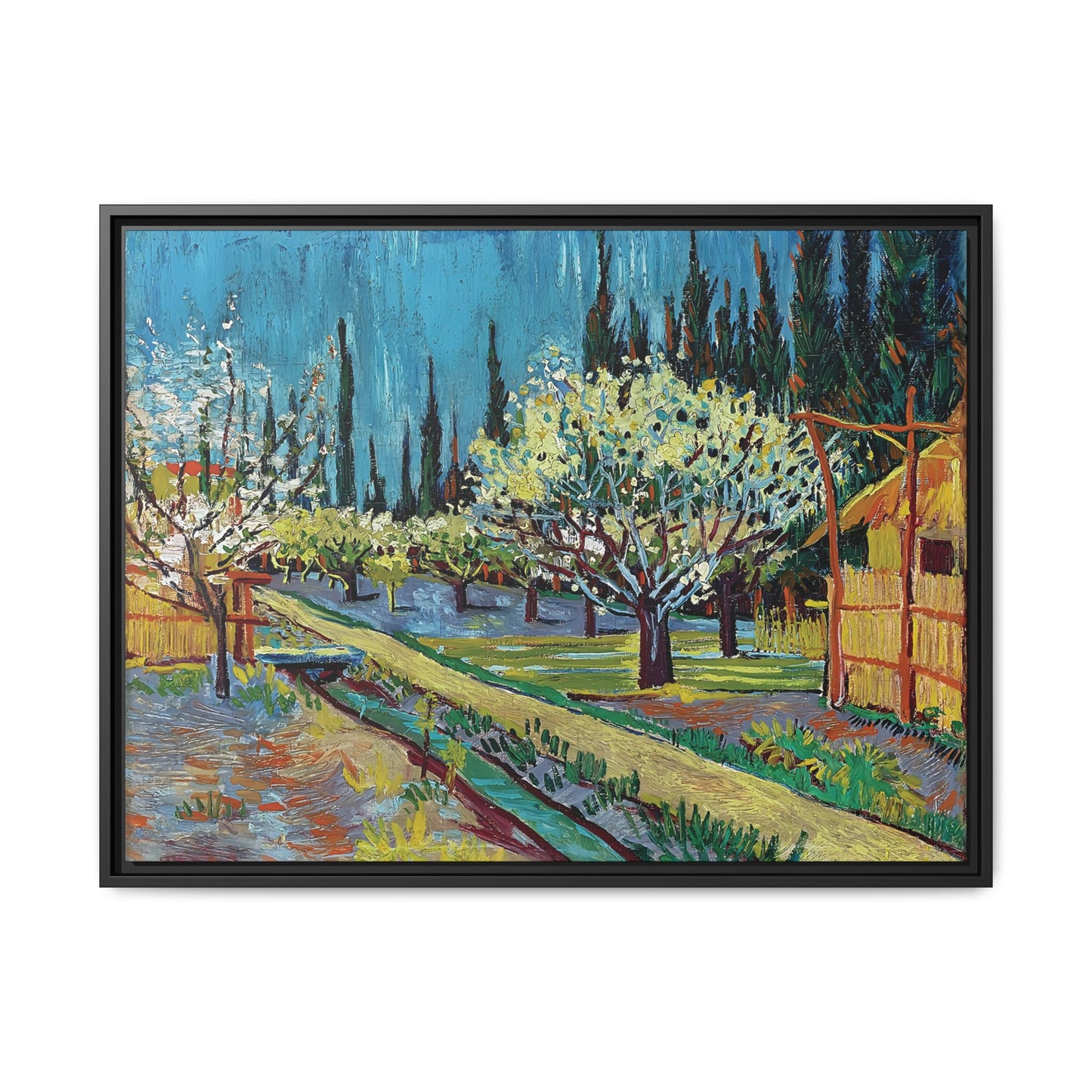 Orchard Bordered by Cypresses (1888) by Vincent van Gogh / Toile encadrée sur caisse américaine