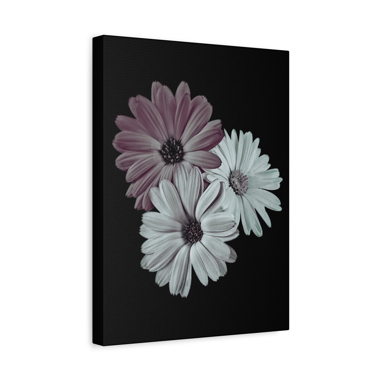 Collection Signature "FLORAL Numéro 5" sur Toile Fine Art sur Toile / Epaisseur 3,2cm - 1'25 po