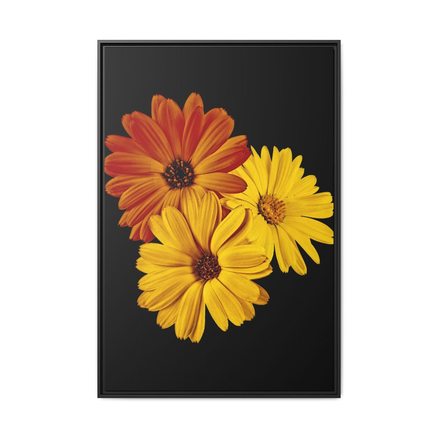 Collection Signature "FLORAL Numéro 4" sur Toile encadrée avec caisse américaine