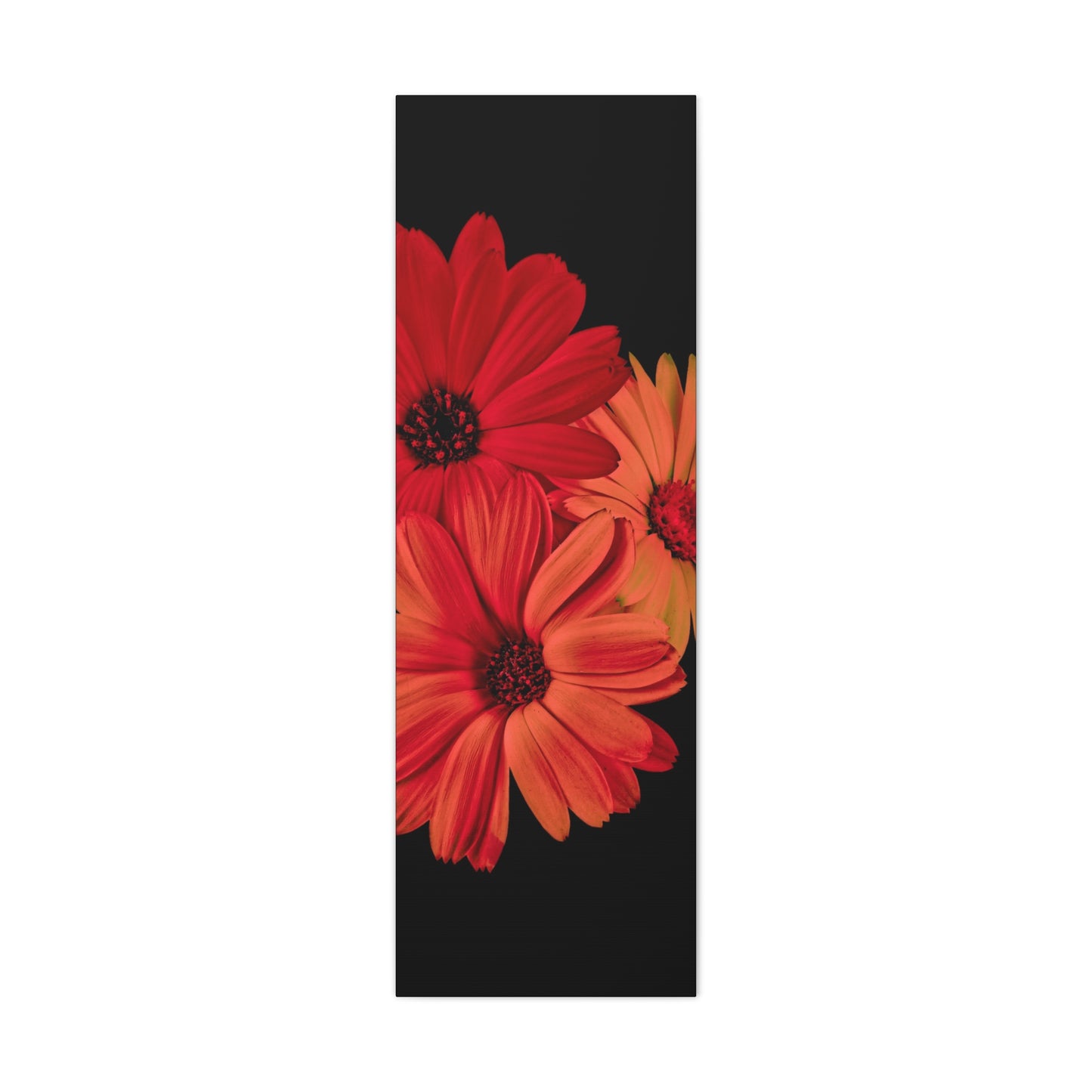 Collection Signature "FLORAL Numéro 1" sur Toile Fine Art sur Toile / Epaisseur 3,2cm - 1'25 po