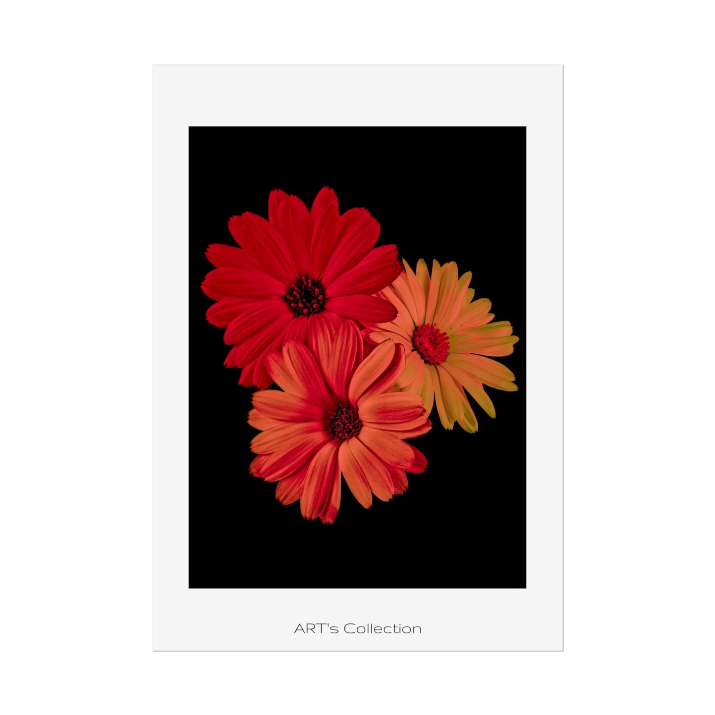 Collection Signature "FLORAL Numéro 1" sur Affiche imprimée - Série ART's Collection