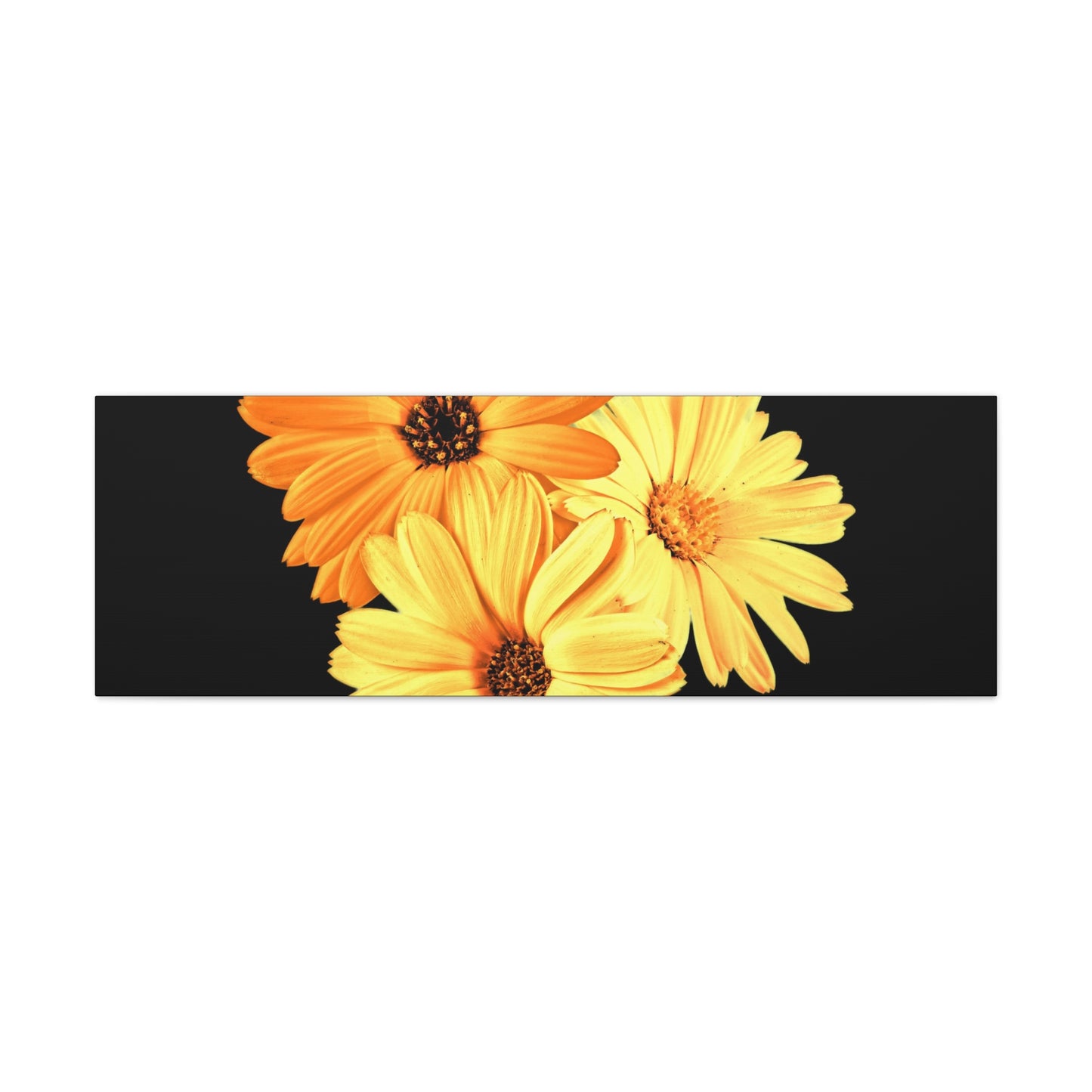 Collection Signature "FLORAL Numéro 8" sur Toile Fine Art sur Toile / Epaisseur 3,2cm - 1'25 po