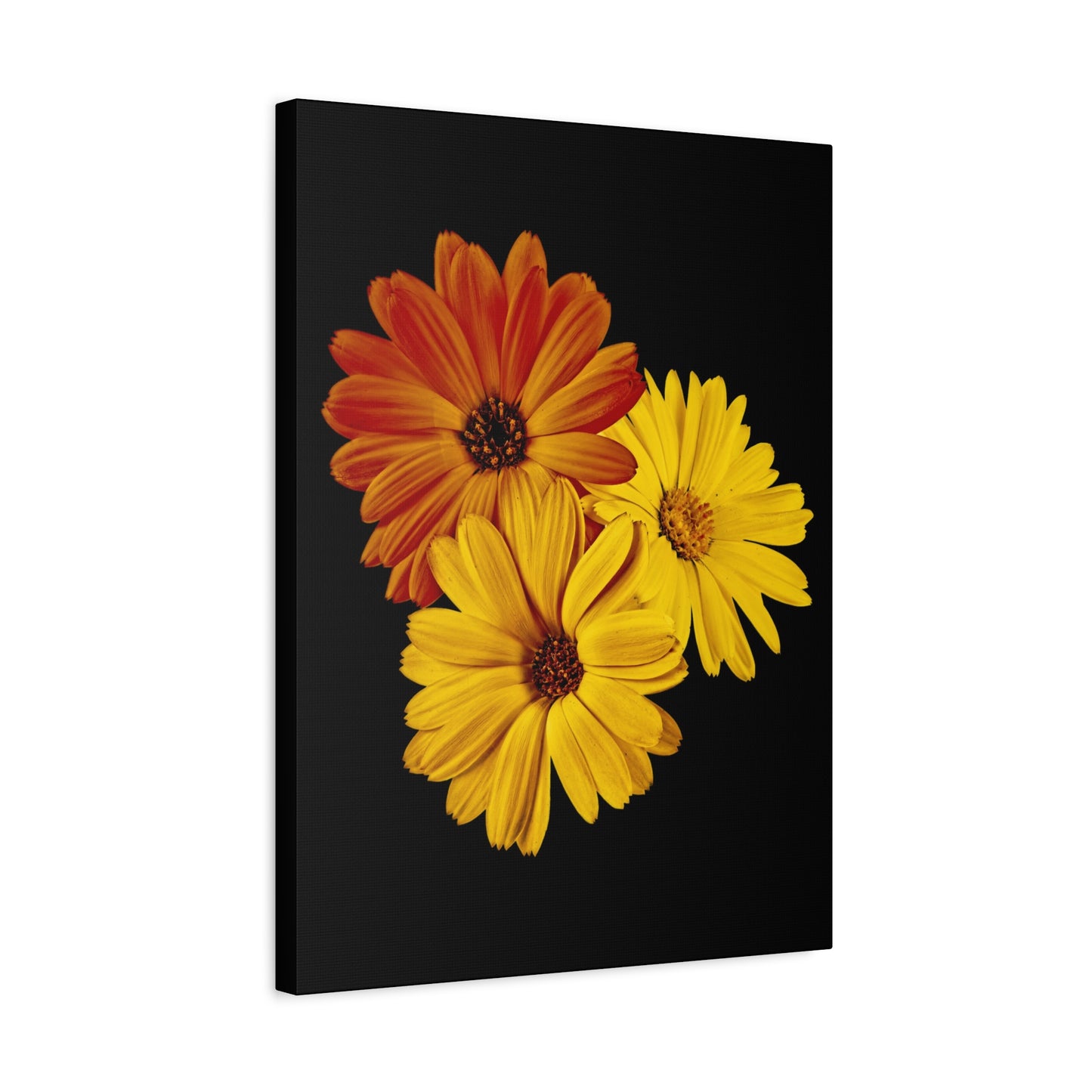 Collection Signature "FLORAL Numéro 4" sur Toile Fine Art sur Toile / Epaisseur 3,2cm - 1'25 po