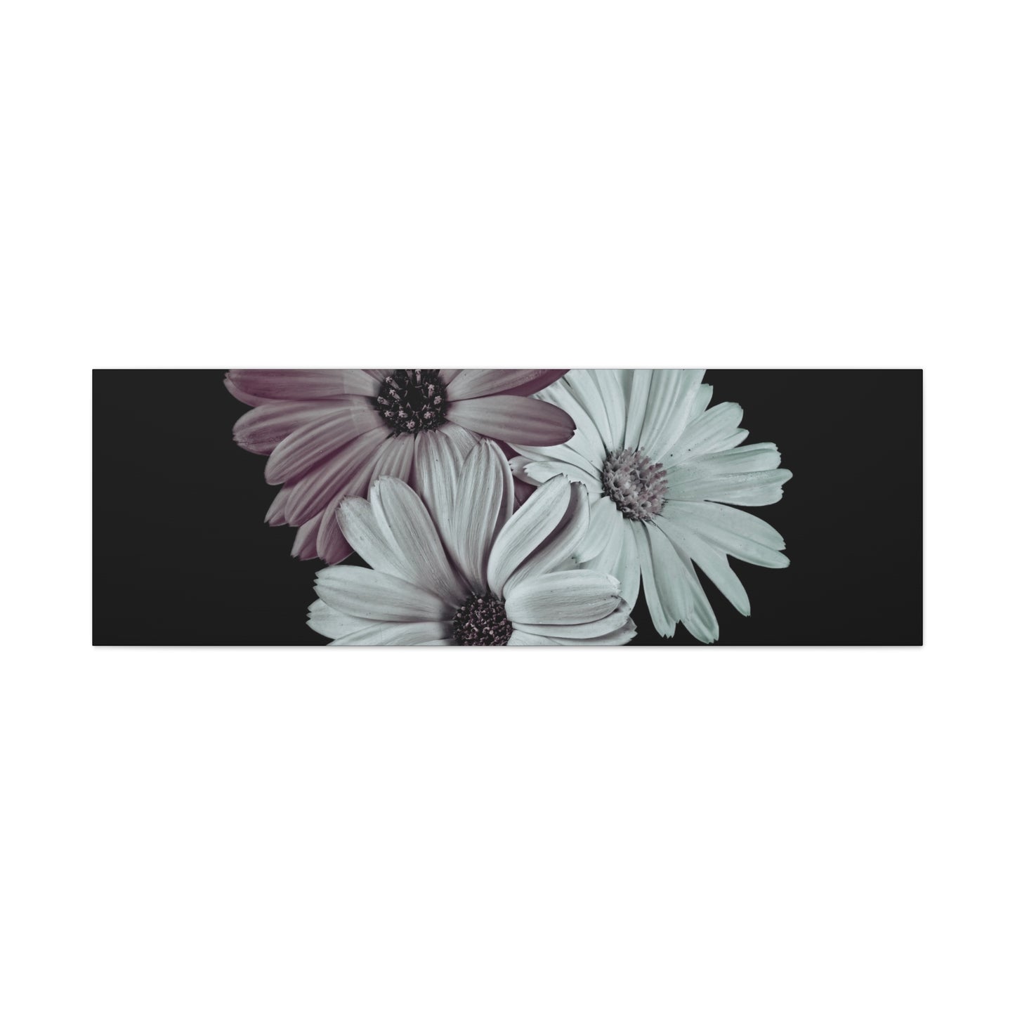 Collection Signature "FLORAL Numéro 5" sur Toile Fine Art sur Toile / Epaisseur 3,2cm - 1'25 po