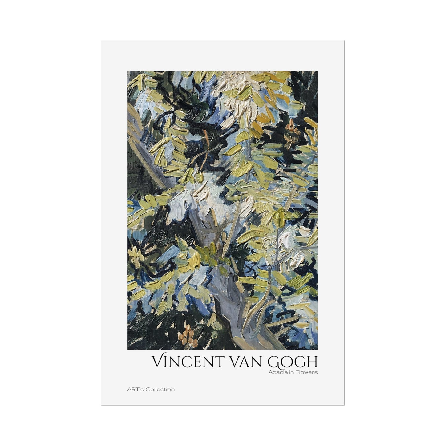 Acacia in Flowers by Vincent van Gogh / Affiche imprimée - Série ART's Collection