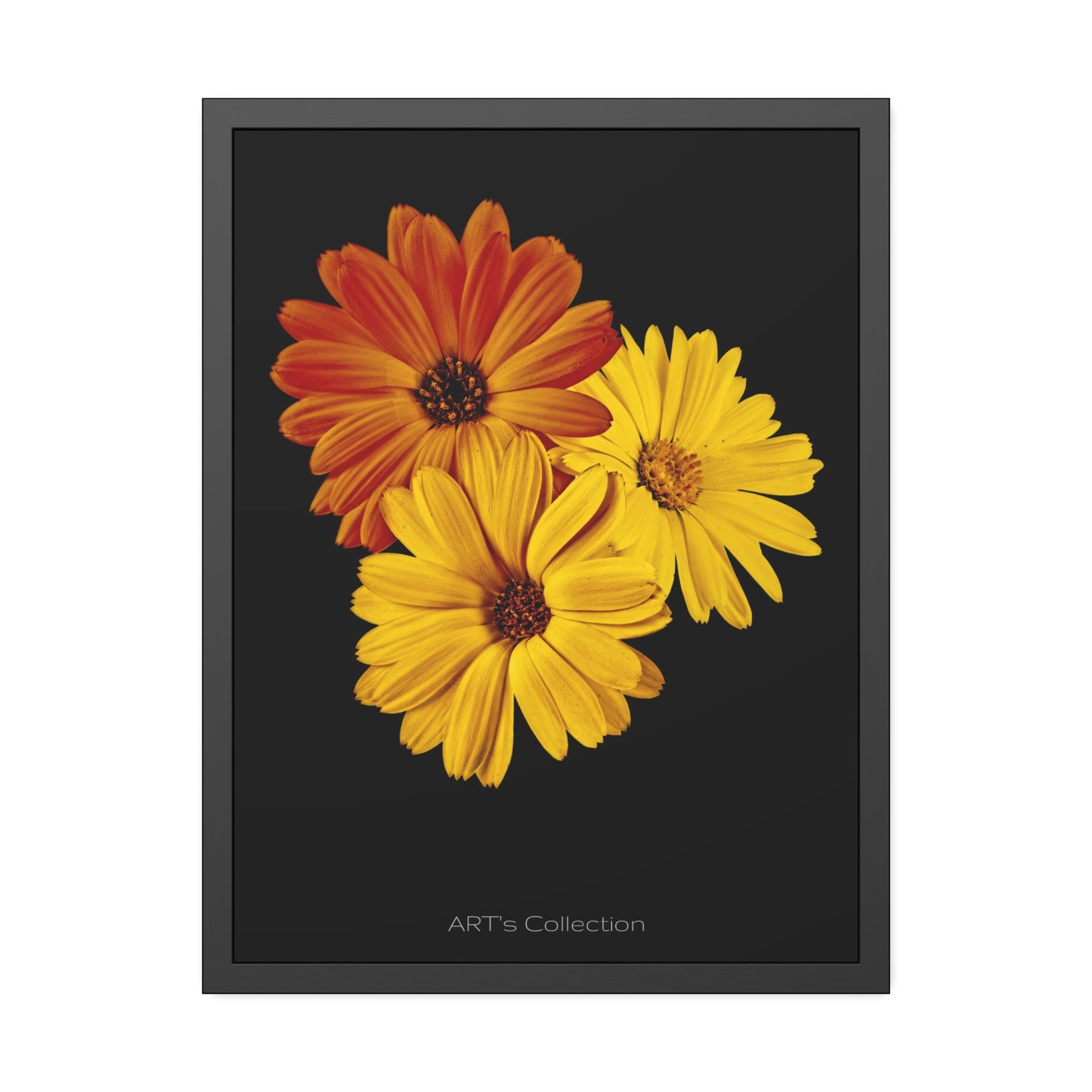 Collection Signature "FLORAL Numéro 4" sur Affiche Encadrée série ART's Collection