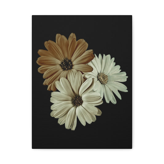 Collection Signature "FLORAL Numéro 3" sur Toile Fine Art sur Toile / Epaisseur 3,2cm - 1'25 po