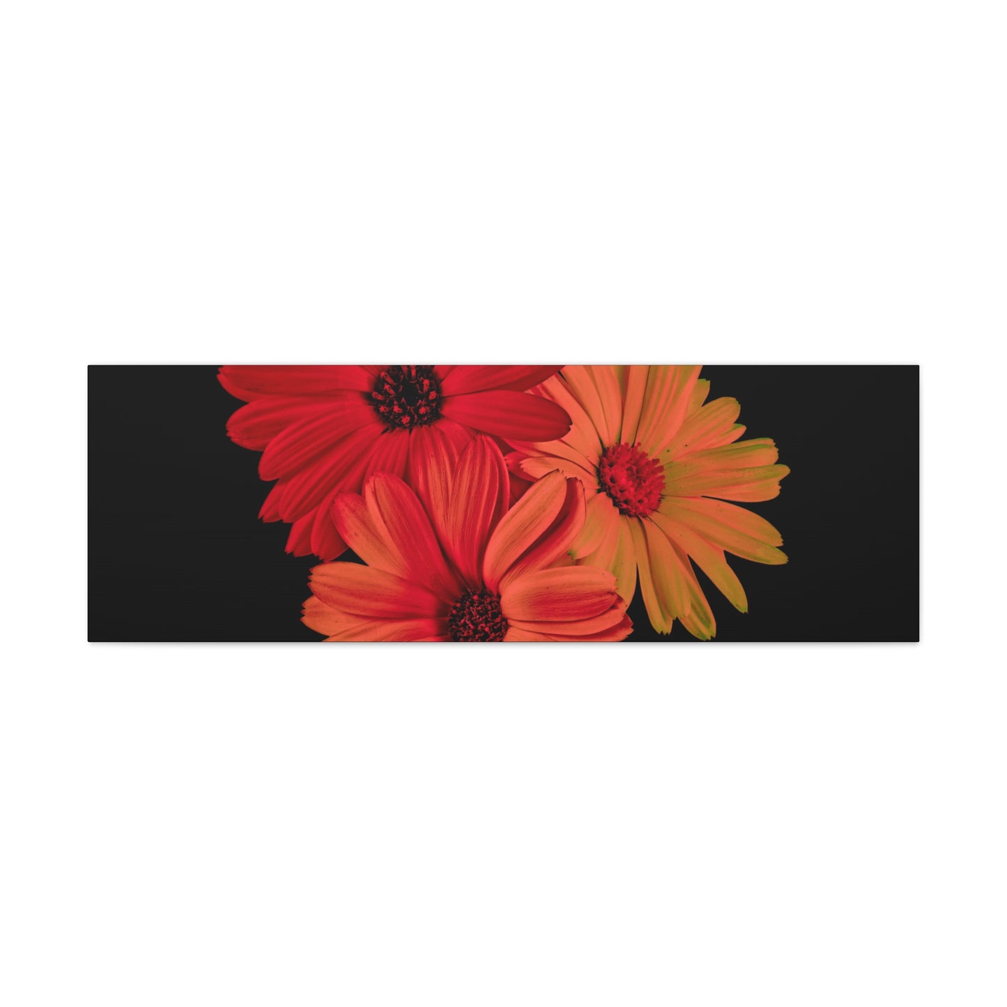 Collection Signature "FLORAL Numéro 1" sur Toile Fine Art sur Toile / Epaisseur 3,2cm - 1'25 po