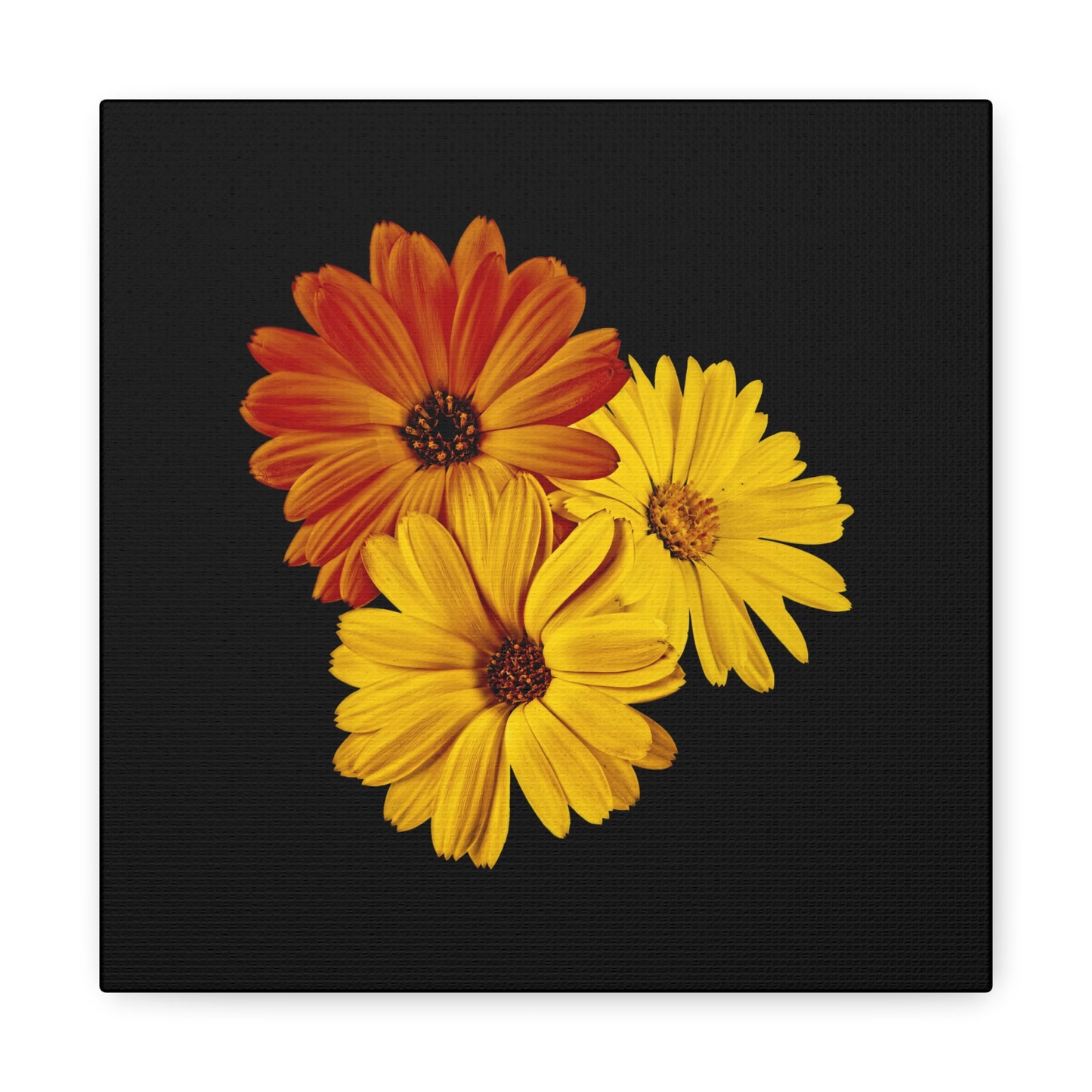 Collection Signature "FLORAL Numéro 4" sur Toile Fine Art sur Toile / Epaisseur 3,2cm - 1'25 po