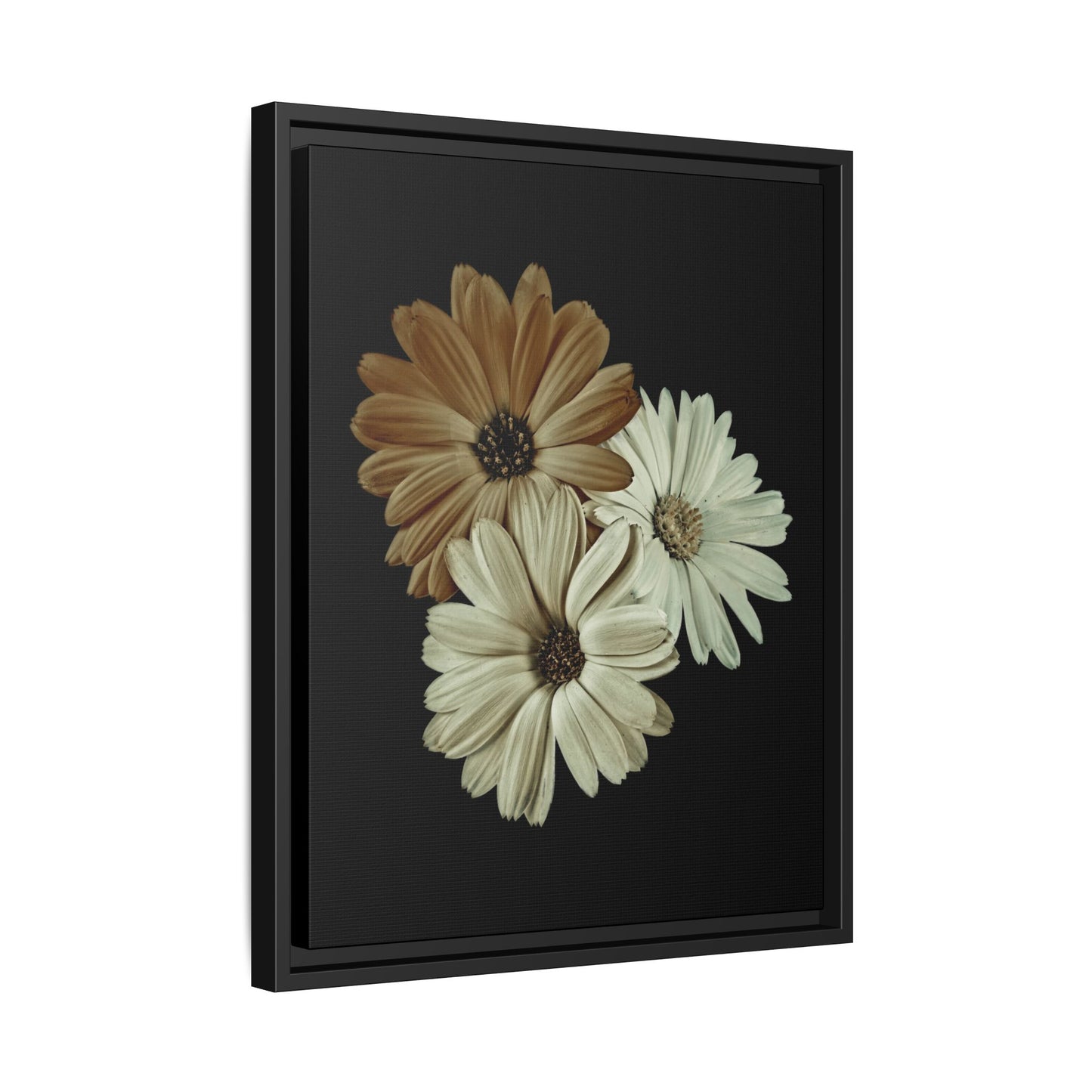 Collection Signature "FLORAL Numéro 3" sur Toile encadrée avec caisse américaine