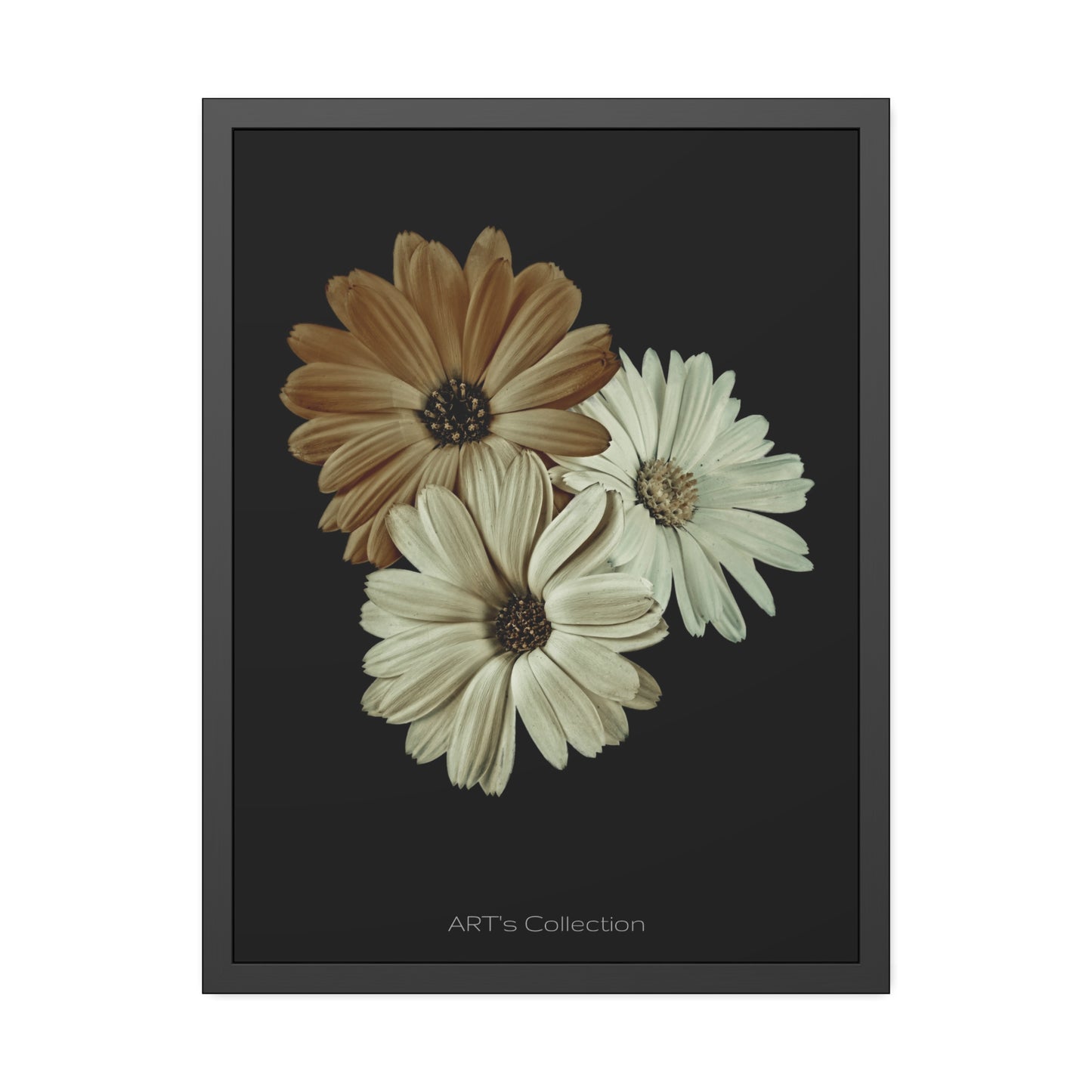 Collection Signature "FLORAL Numéro 3" sur Affiche Encadrée série ART's Collection