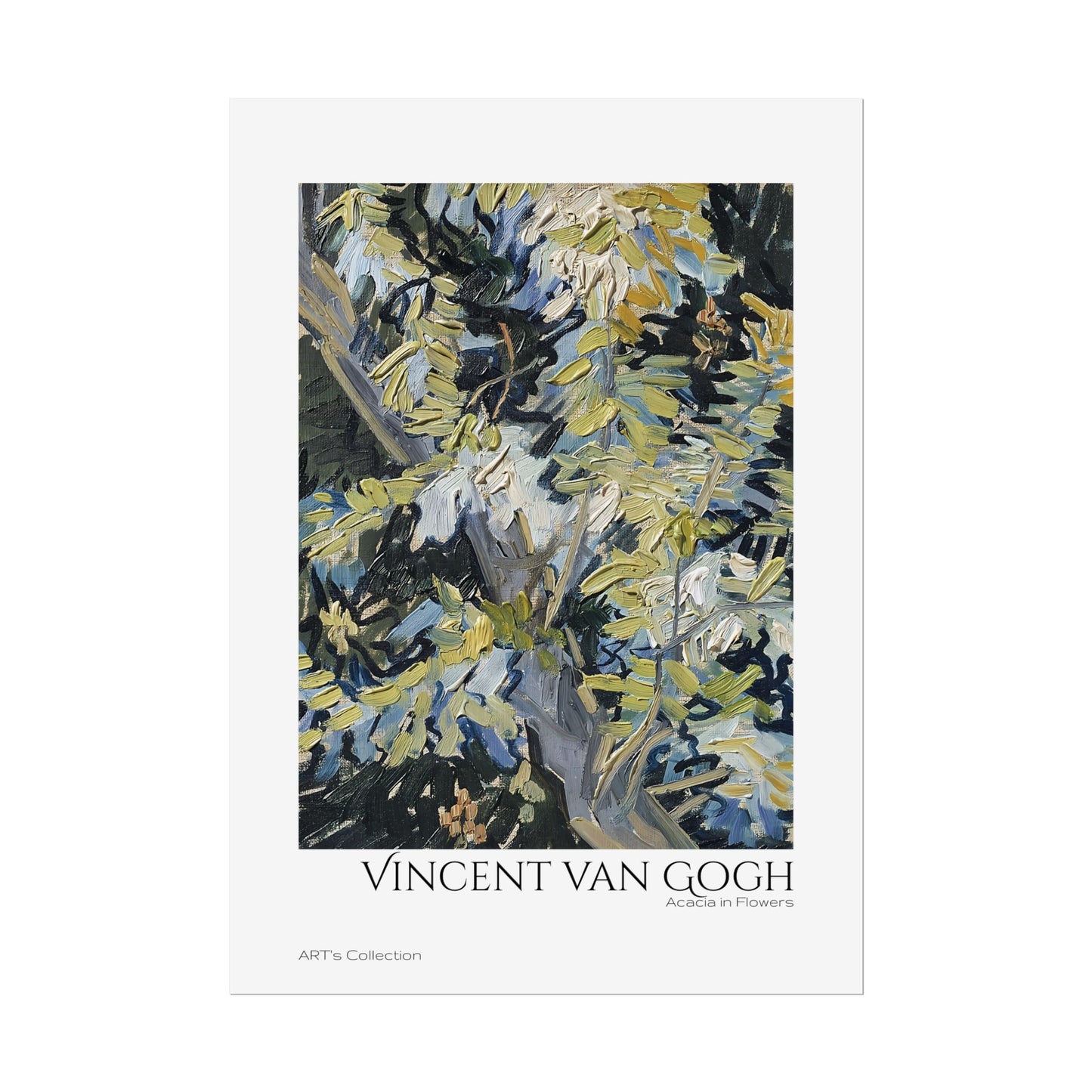Acacia in Flowers by Vincent van Gogh / Affiche imprimée - Série ART's Collection