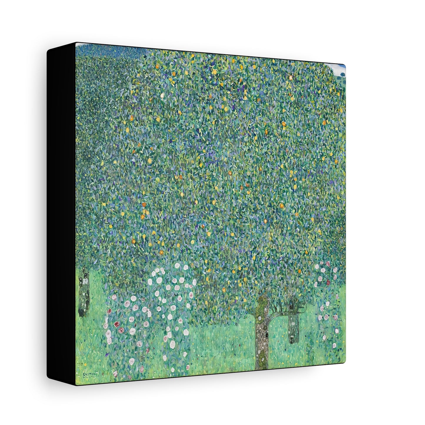 Rosebushes under the Trees (circa 1905) by Gustav Klimt / Reproduction Fine Art sur Toile / Flanc Large Epaisseur 3.2 cm - 1.25 inch